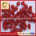 Hot Sale Dried Strawberry New Crop From China